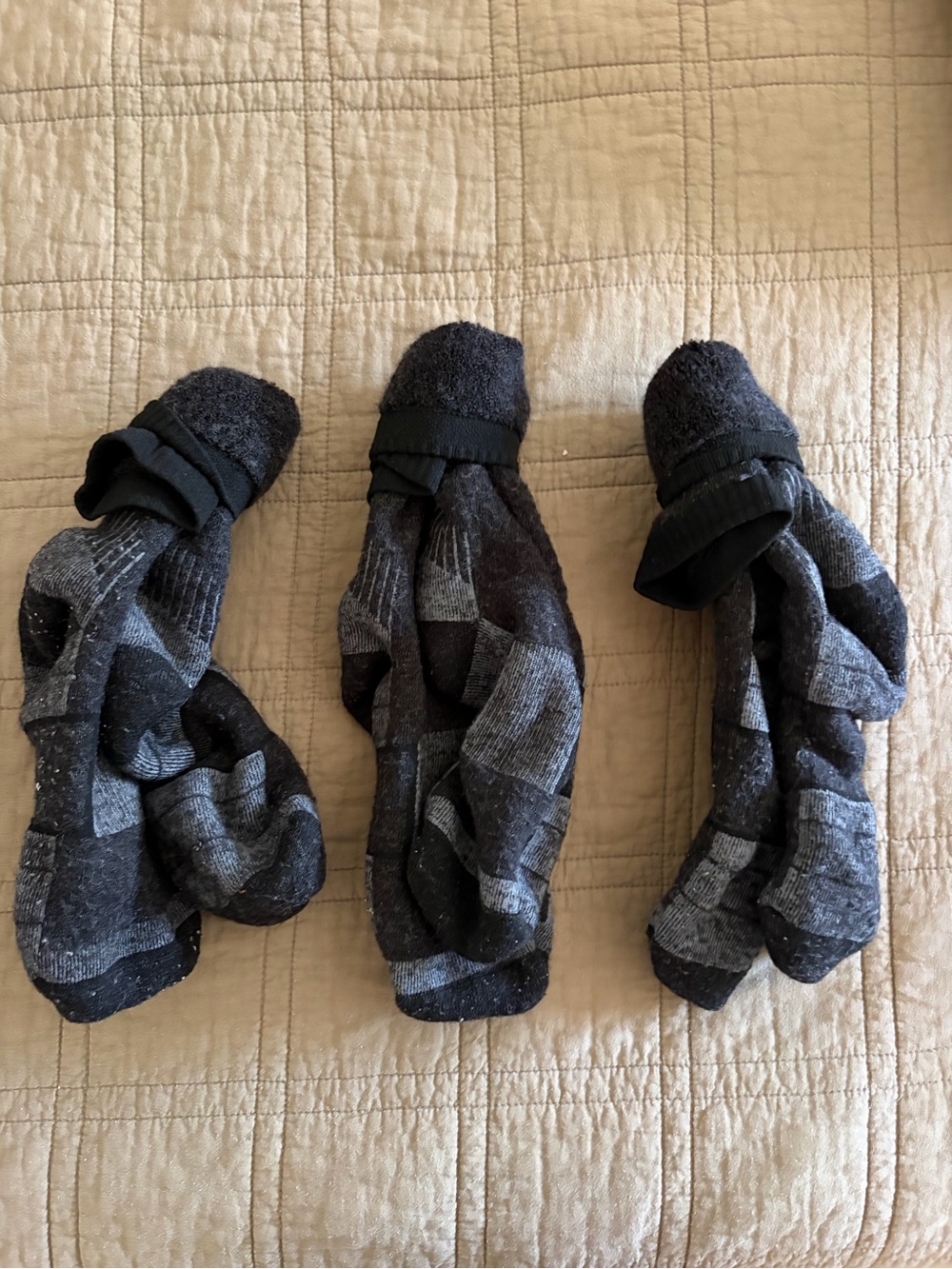 Women’s Two-Tone Black & Gray Socks - 3 Pack
